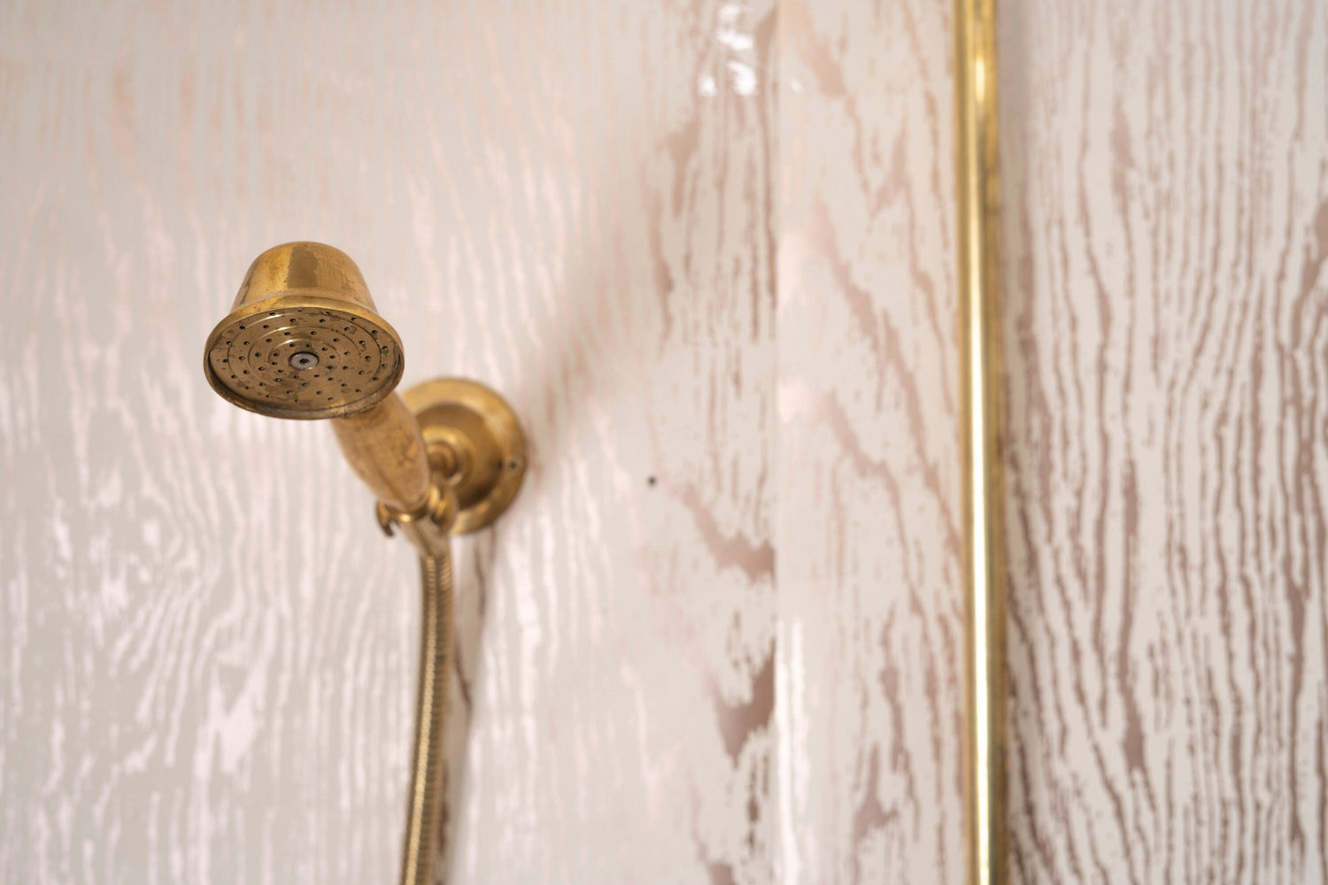 Unlacquered Brass Bathroom shower with Round Shower Head, Handheld Shower