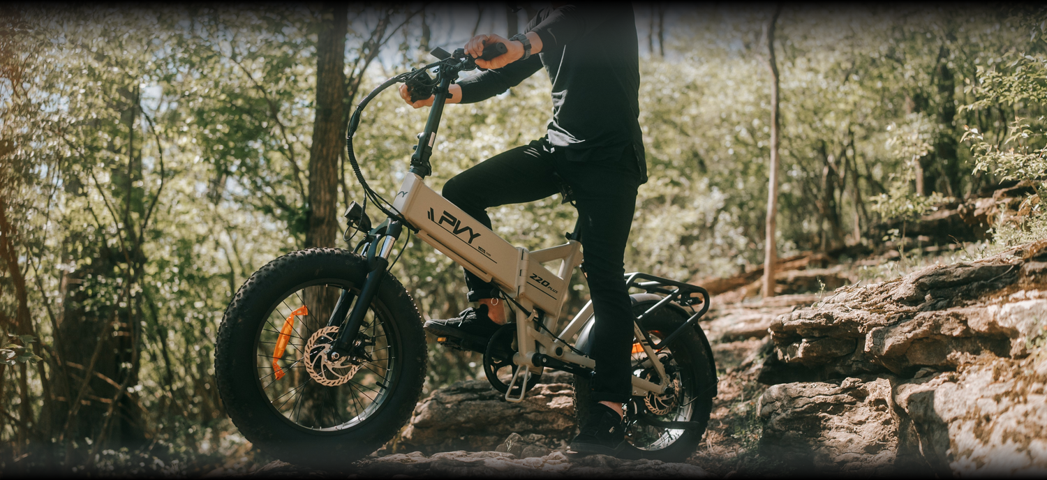 All-Terrain Folding Electric Bike 1000W Motor, 48V Battery, Fat Tires, Dual Suspension